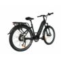 Rex Mixte Ebike 2 600x600